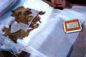 atelier 2014 043(site)