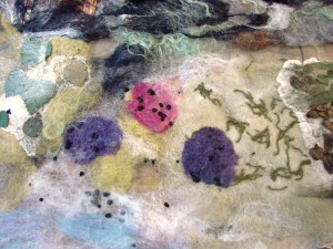 augustus11 013(site)