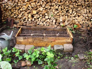 atelier 2014 008(site)