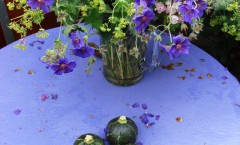 atelier 2014 015(site)