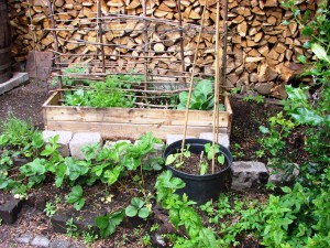 atelier 2014 016(site)