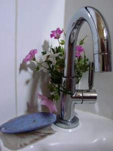 zomer 2014 161(site)