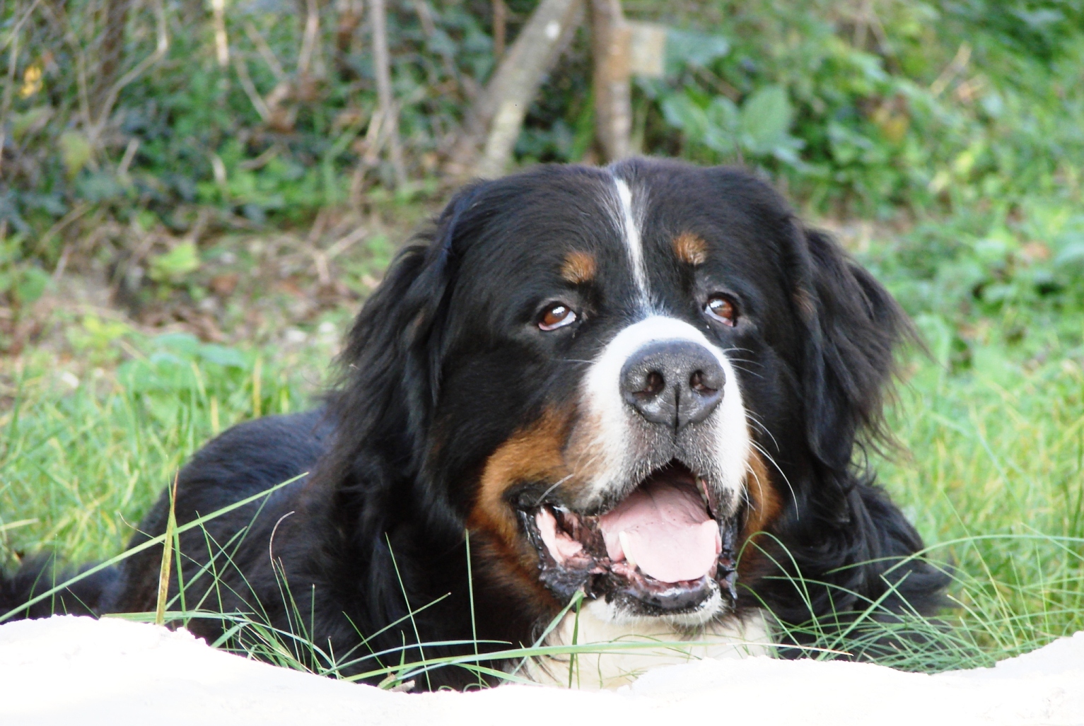 2014 Belvezet najaar 077