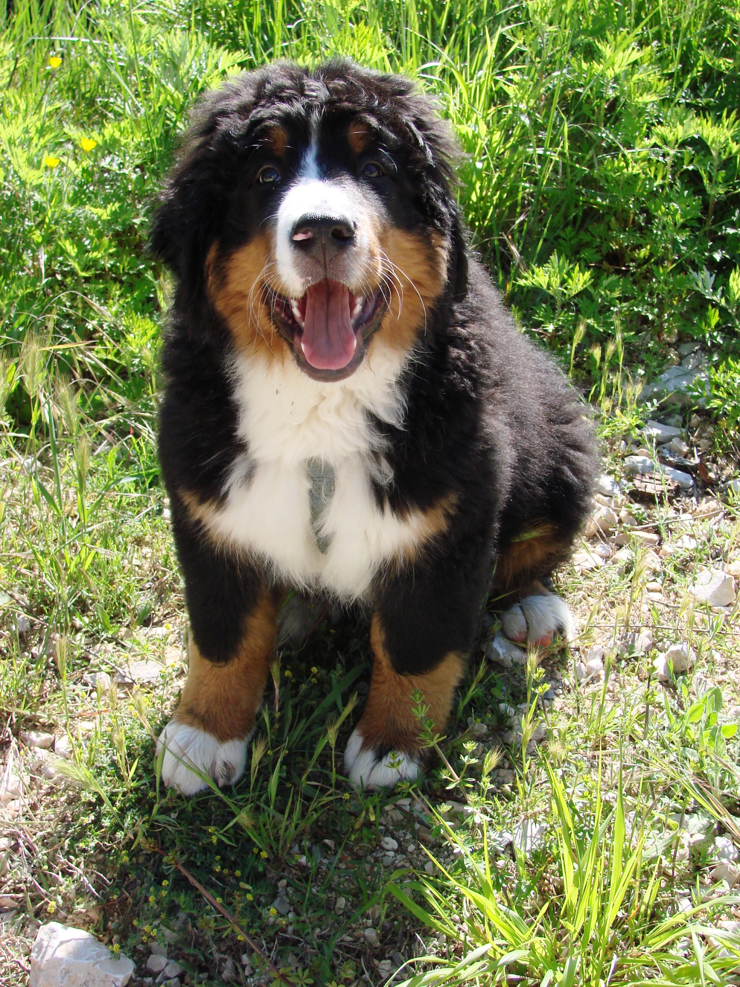 2015 april Belvézet 010